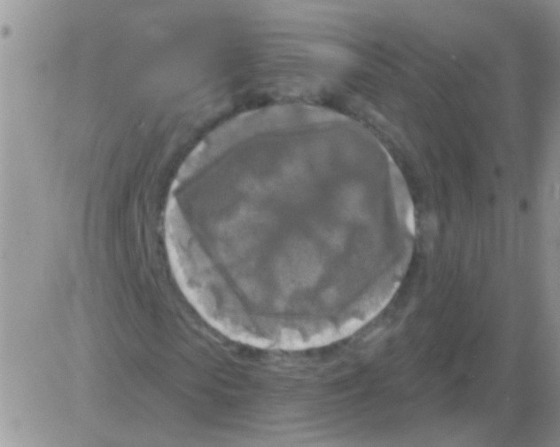 X0000082710913200702232252