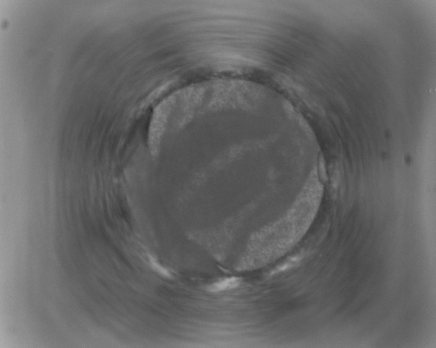 X0000082710916200702232252