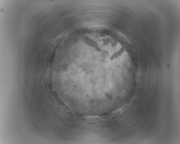 X0000082710917200702232252