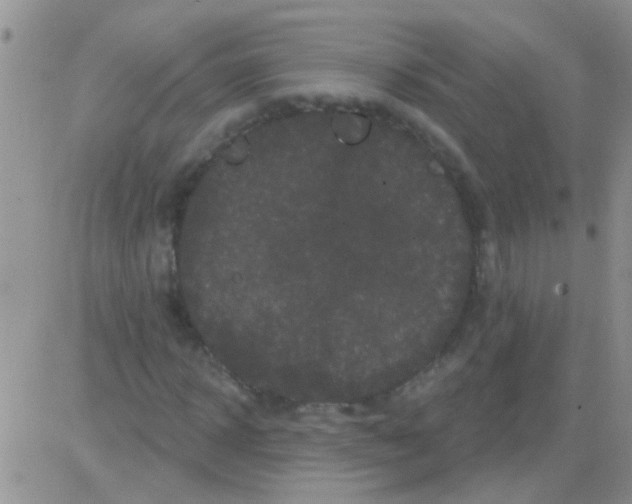 X0000082710918200702232252