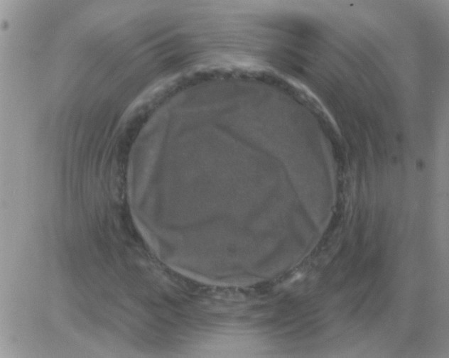 X0000082710919200702232252