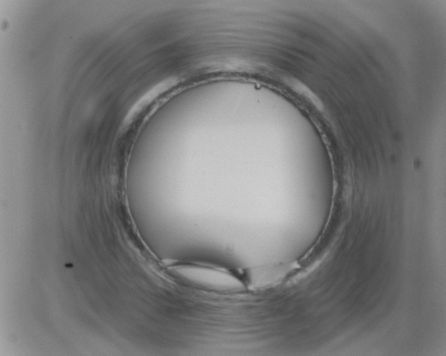 X0000082710922200702232252