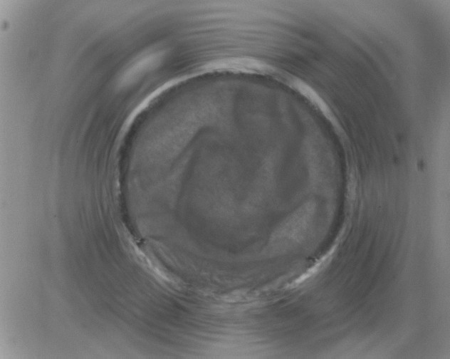 X0000082710923200702232252