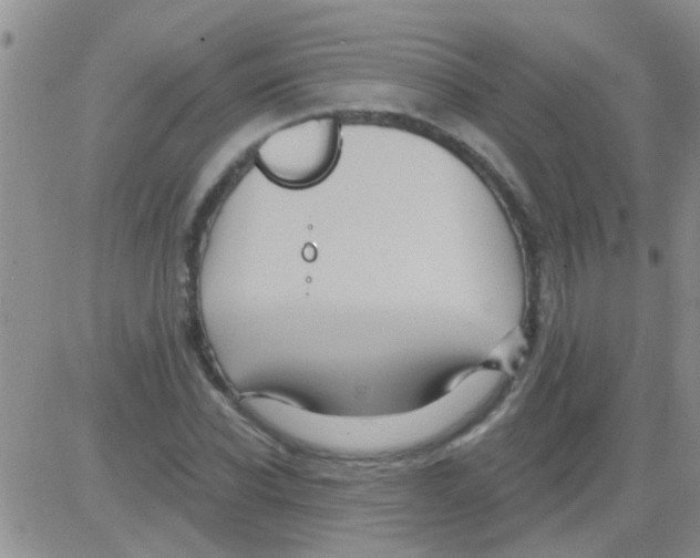 X0000082710926200702232252