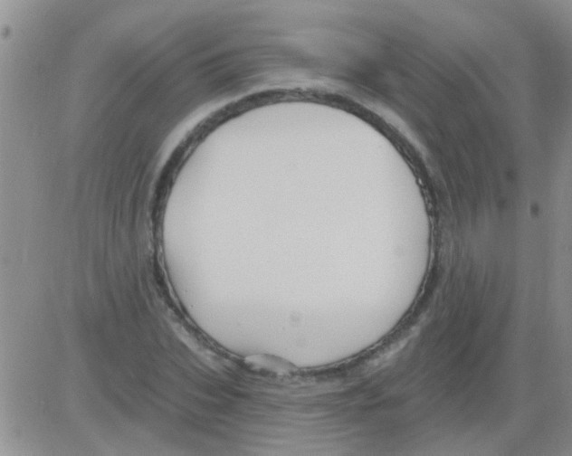 X0000082710927200702232252