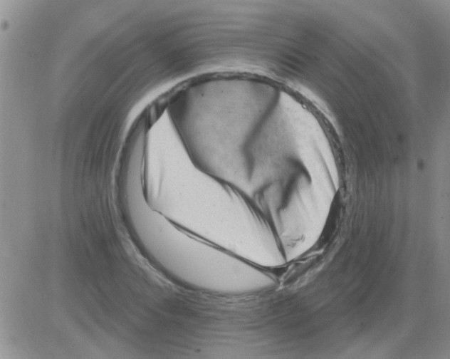 X0000082710928200702232252