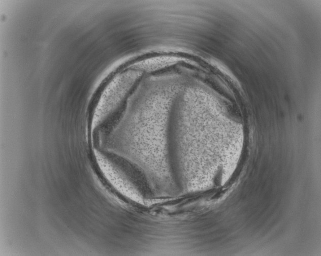 X0000082710934200702232252