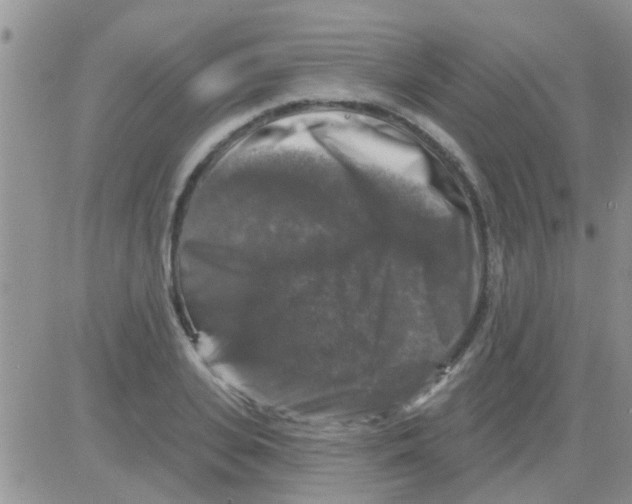 X0000082710935200702232252