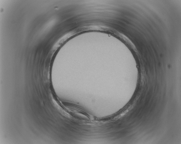 X0000082710938200702232252