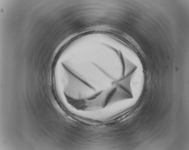 X0000082710939200702232252