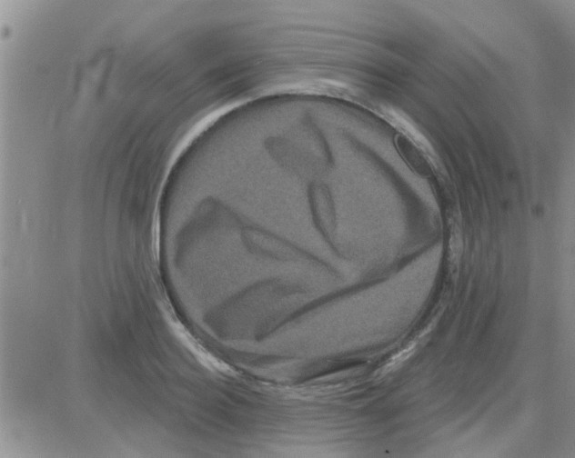 X0000082710940200702232252