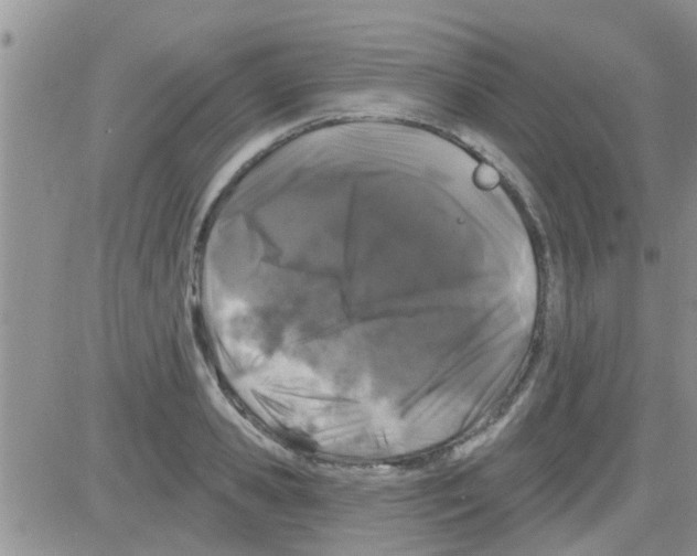 X0000082710941200702232252