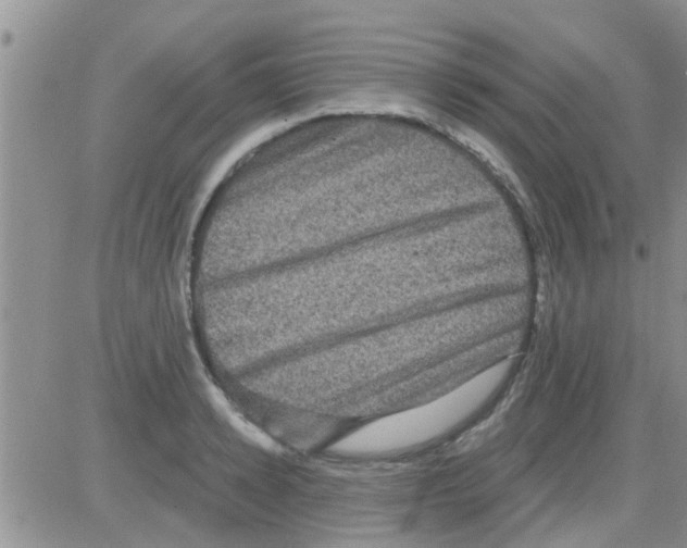 X0000082710942200702232252