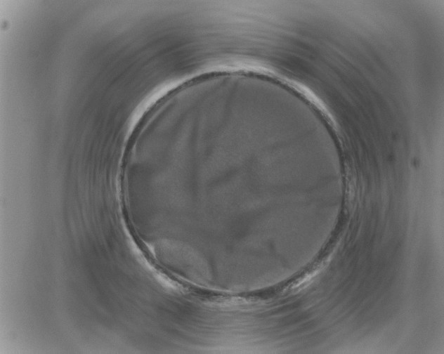 X0000082710943200702232252