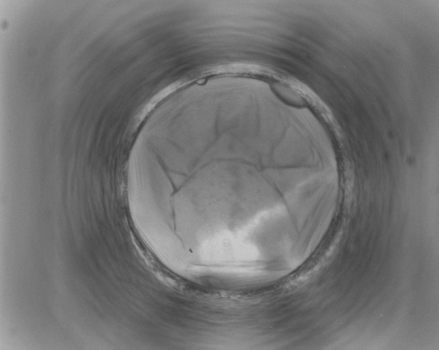 X0000082710945200702232252