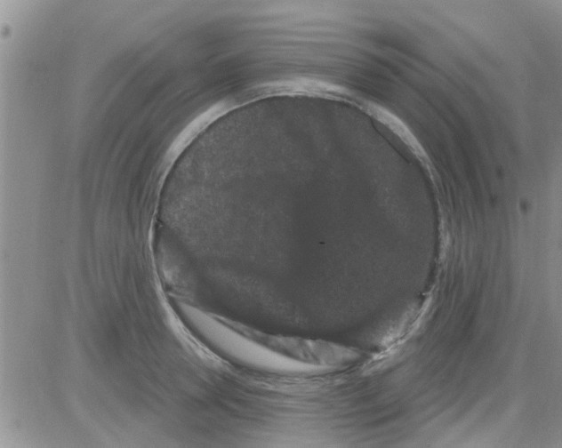 X0000082710946200702232252