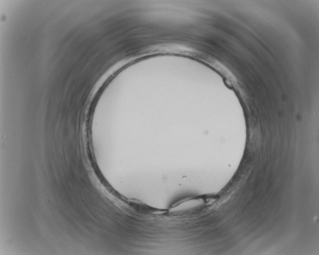 X0000082710947200702232252