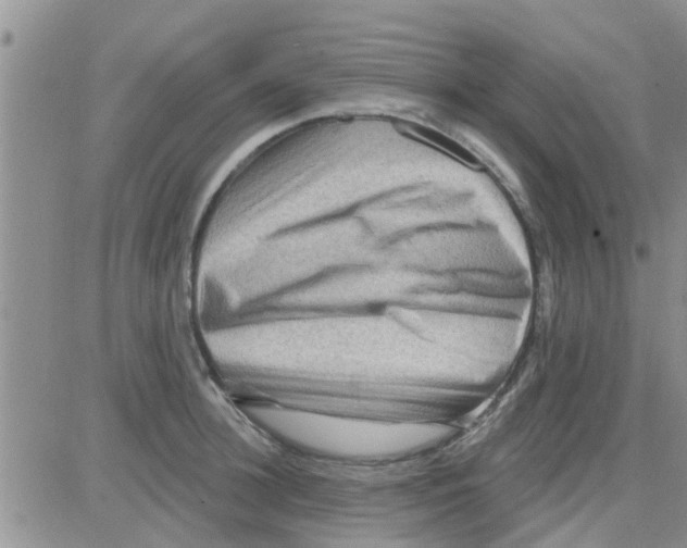 X0000082710948200702232252