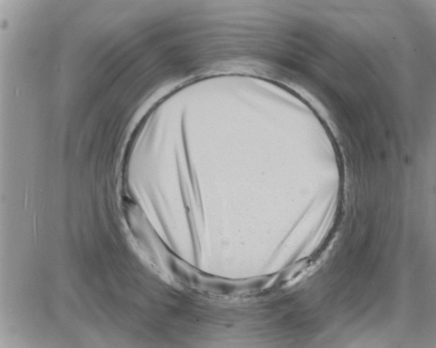 X0000082710949200702232252