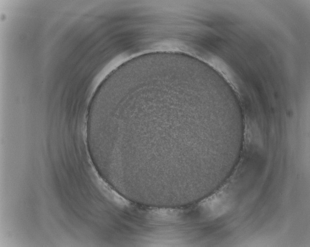 X0000082710950200702232252