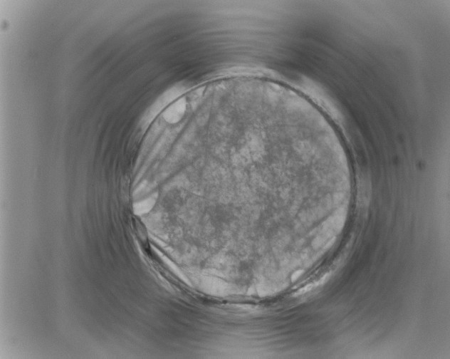 X0000082710953200702232252