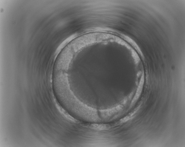 X0000082710954200702232252