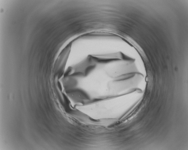 X0000082710956200702232252