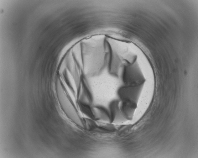 X0000082710960200702232253