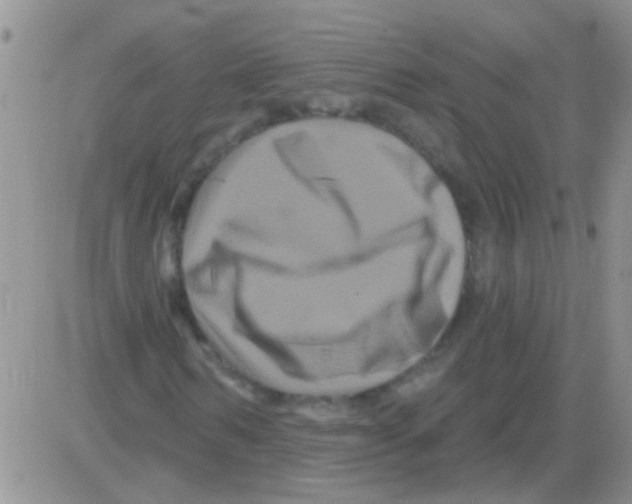 X0000082710962200702232252