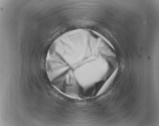 X0000082710964200702232252