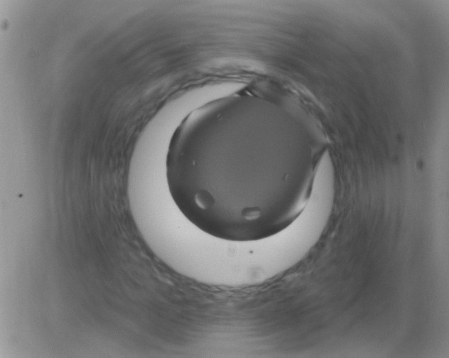 X0000082710965200702232252