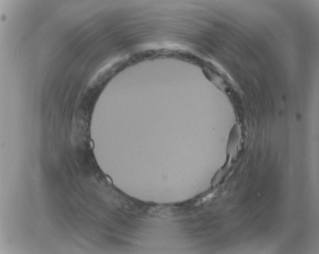 X0000082710967200702232252