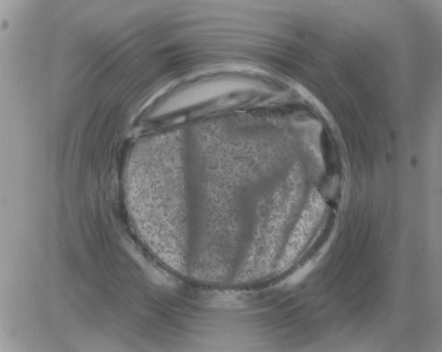 X0000082710969200702232252