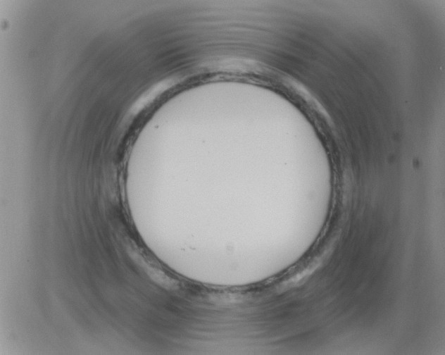 X0000082710970200702232252