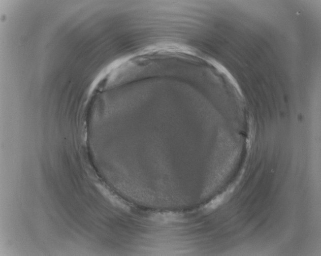 X0000082710973200702232252