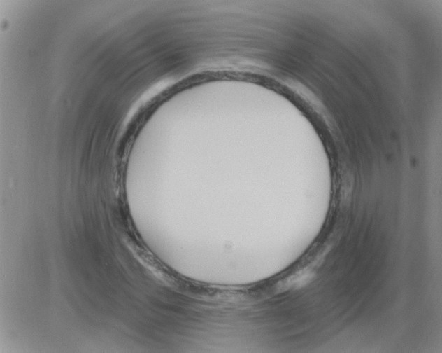 X0000082710974200702232251