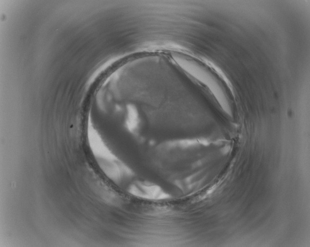 X0000082710975200702232251