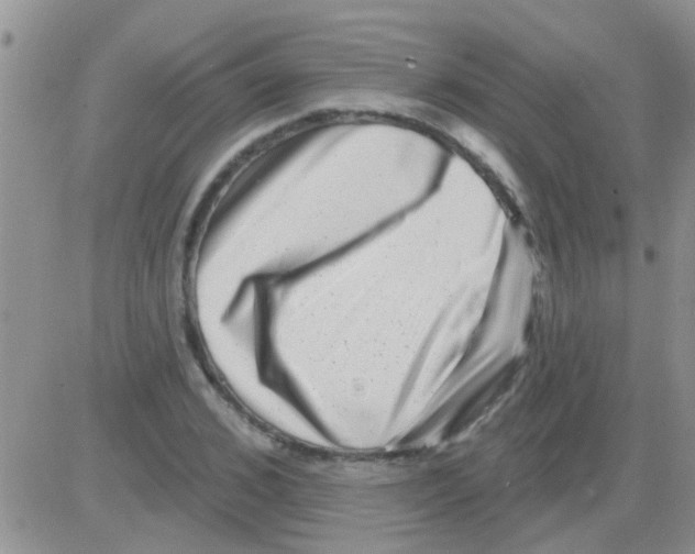 X0000082710976200702232251