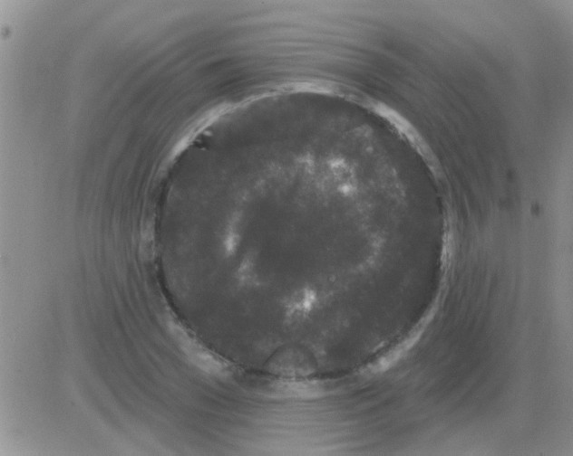 X0000082710977200702232251