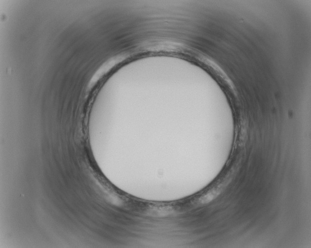 X0000082710978200702232251