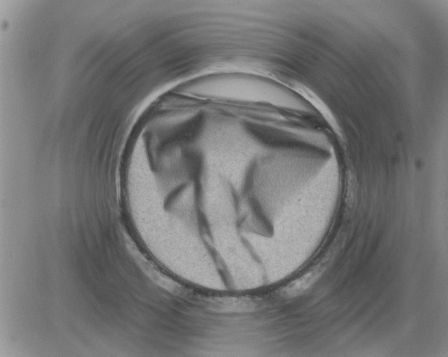 X0000082710980200702232251