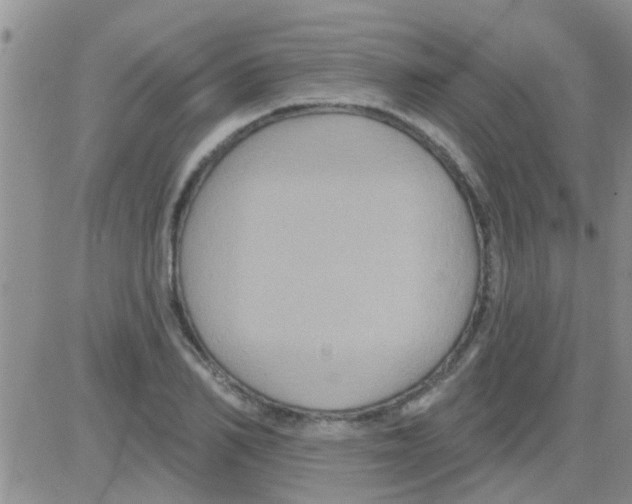 X0000082710982200702232251