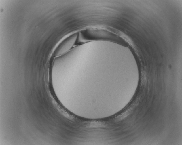 X0000082710984200702232251