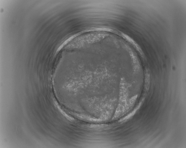 X0000082710985200702232251