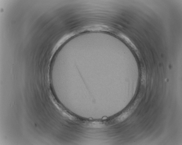 X0000082710986200702232251