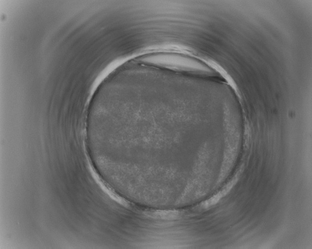 X0000082710989200702232251