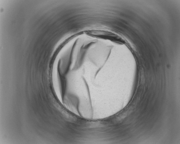 X0000082710990200702232251