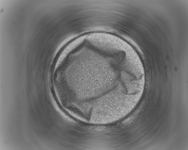 X0000082710991200702232251