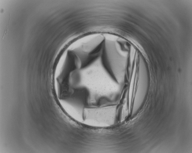 X0000082710992200702232251