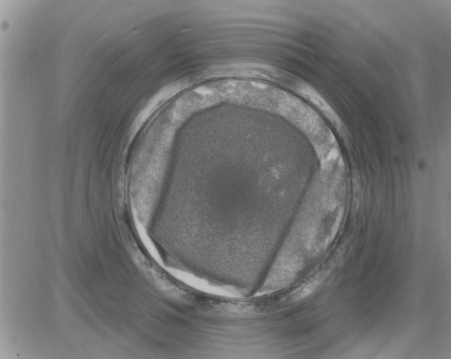 X0000082710994200702232251